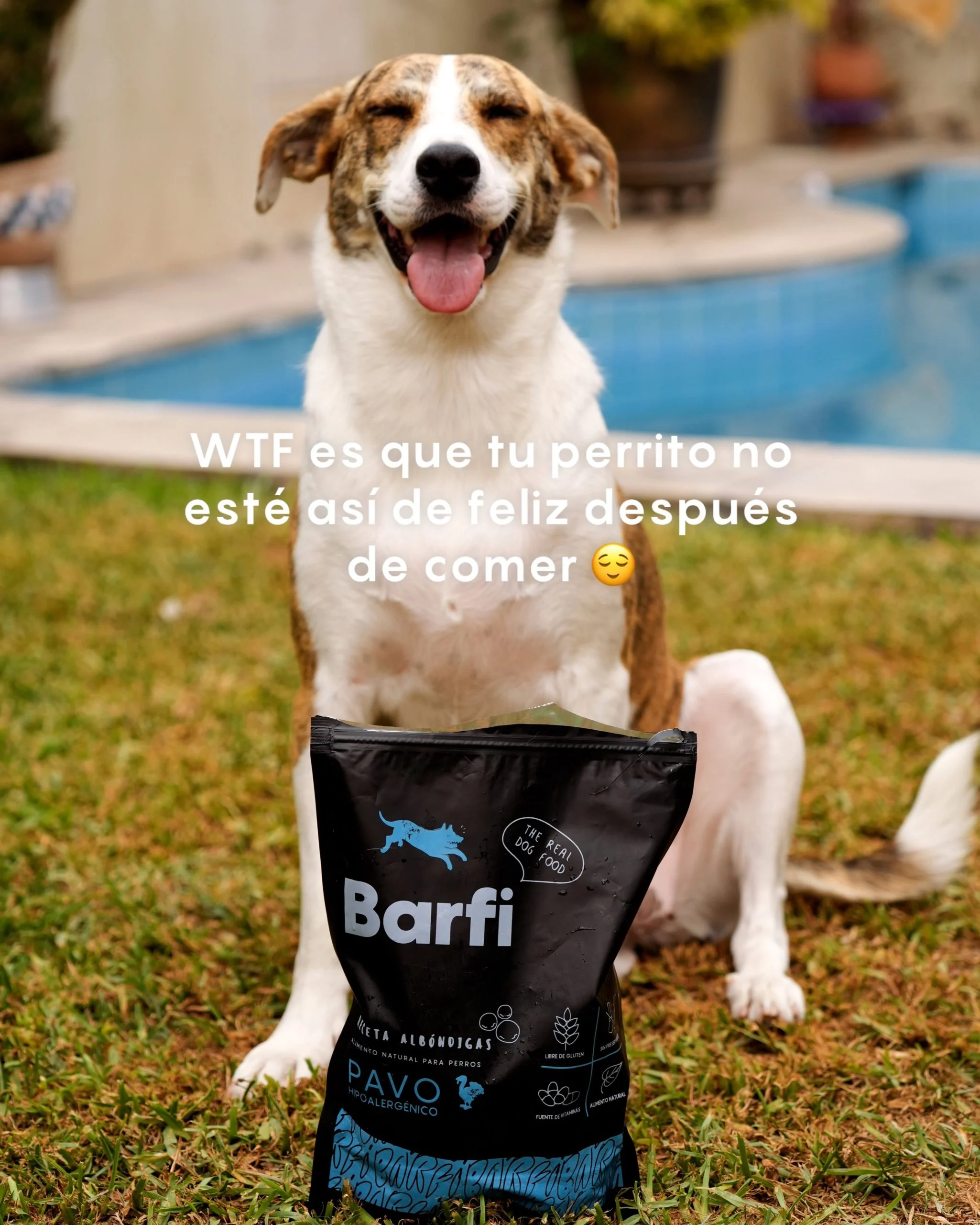 Barfi