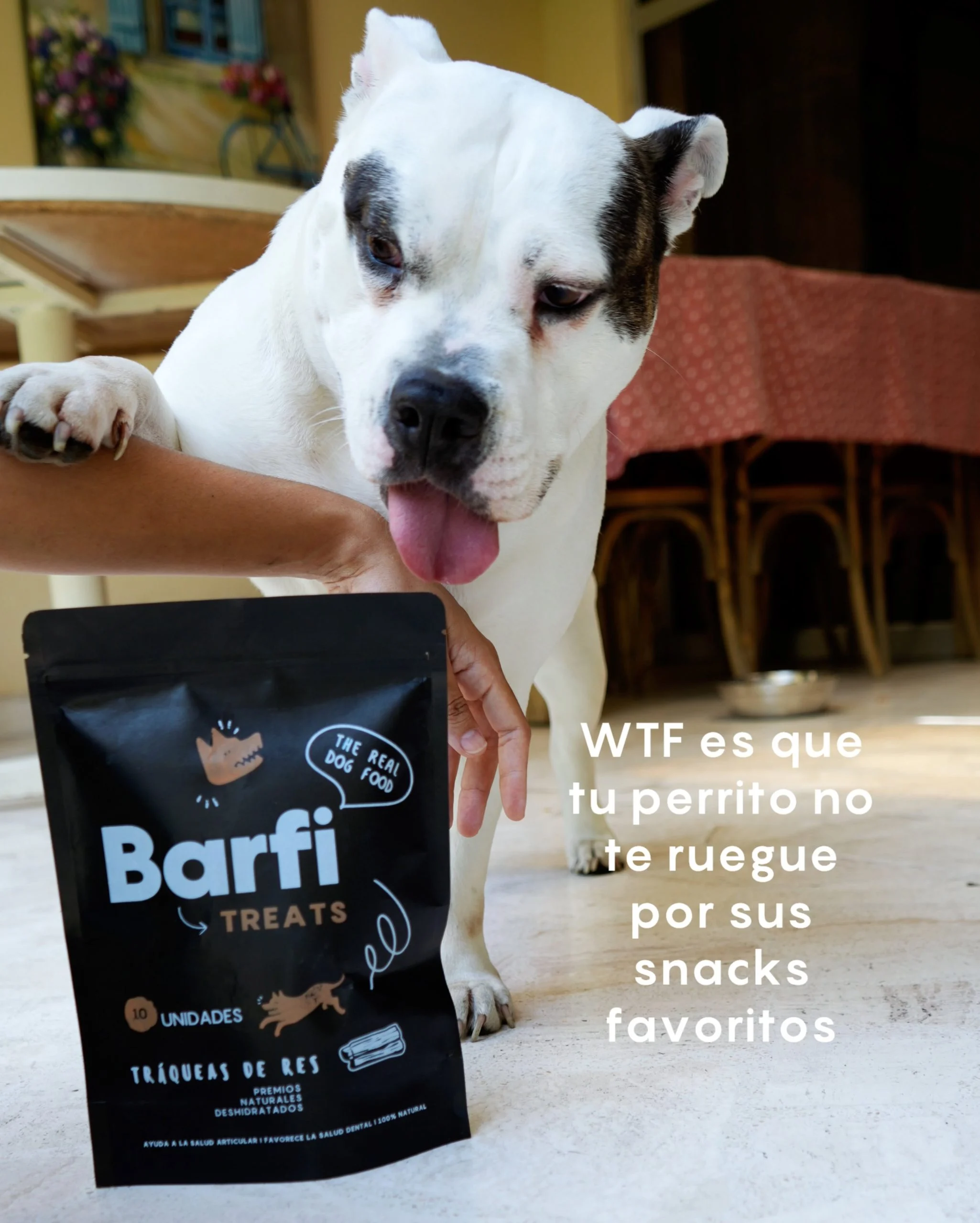 Barfi