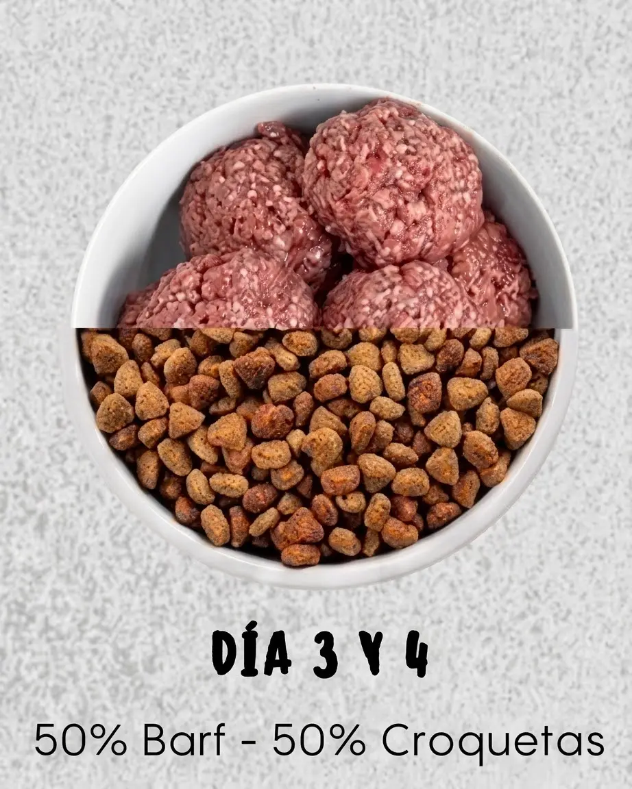 Días 4 a 6