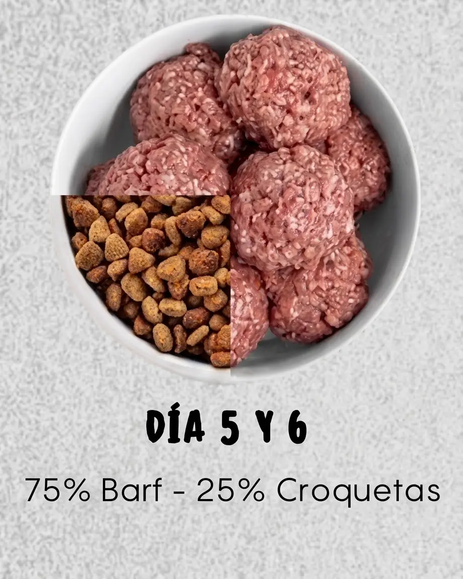 Días 7 a 9